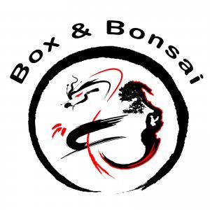 box&bonsai-logo